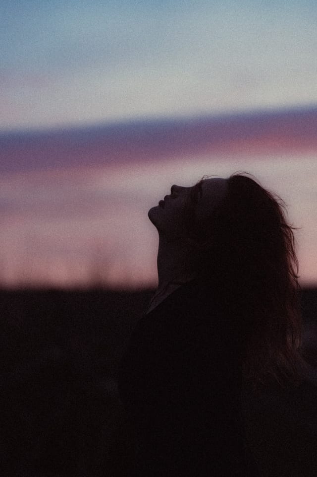 A portrait held against the day's last colour and gathering darkness, catalog number 14, from the Twilight Portraits series