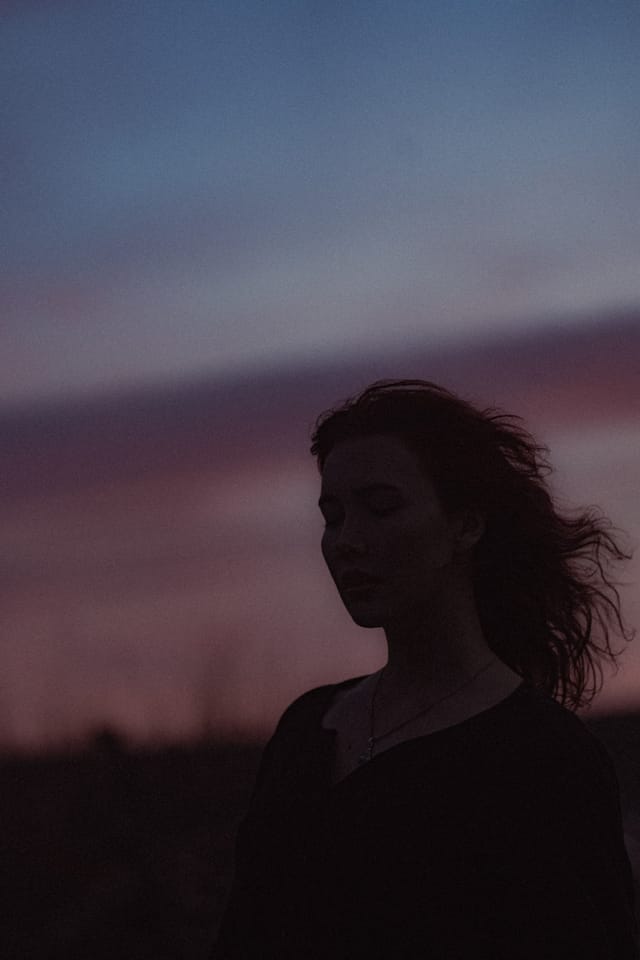 A portrait held against the day's last colour and gathering darkness, catalog number 14, from the Twilight Portraits series