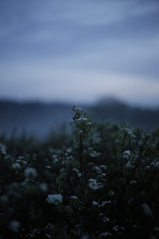 Low light across a darkened landscape and sky, catalog number 18, from The Quiet Dark collection