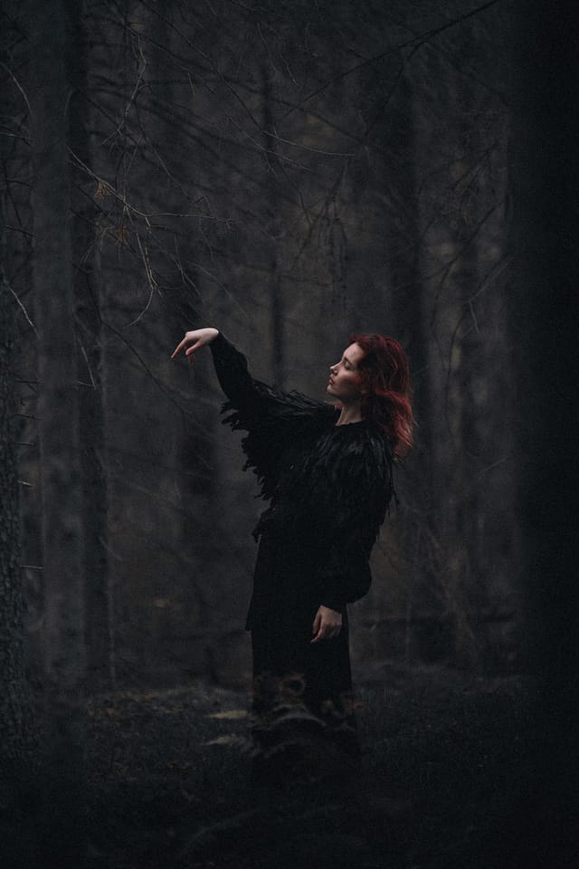 A portrait held against the day's last colour and gathering darkness, catalog number 69, from the Twilight Portraits series