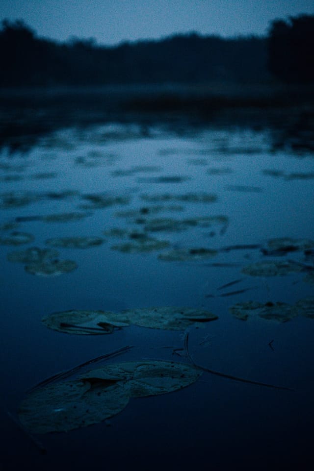 Low light across a darkened landscape and sky, catalog number 38, from The Quiet Dark collection
