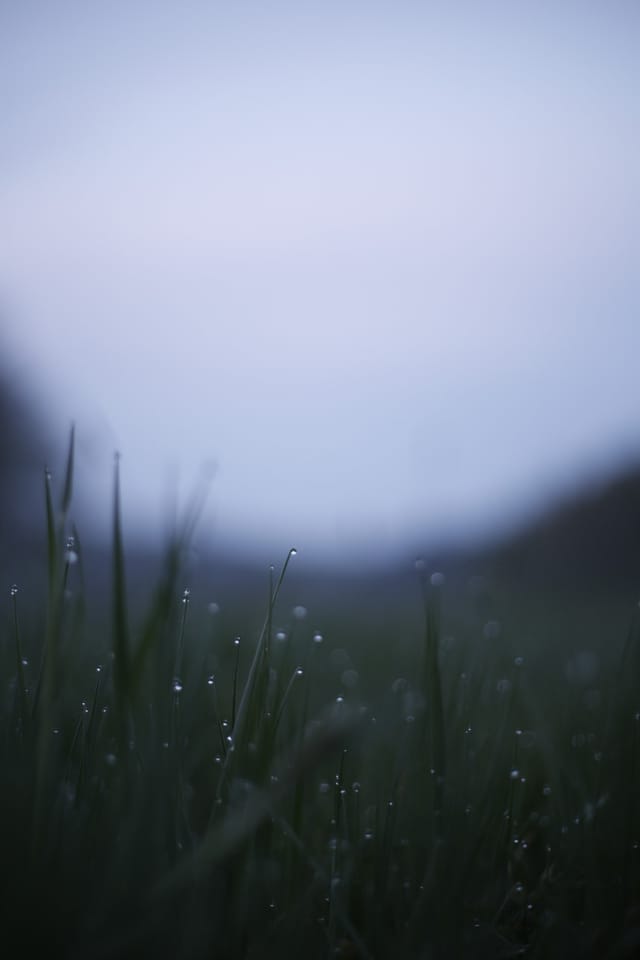 Low light across a darkened landscape and sky, catalog number 11, from The Quiet Dark collection