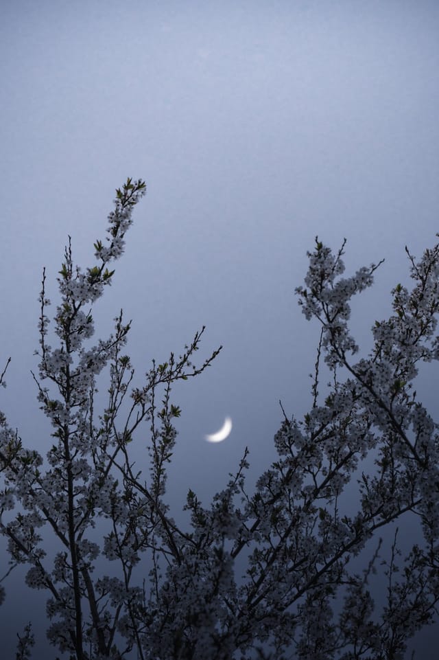Low light across a darkened landscape and sky, catalog number 23, from The Quiet Dark collection