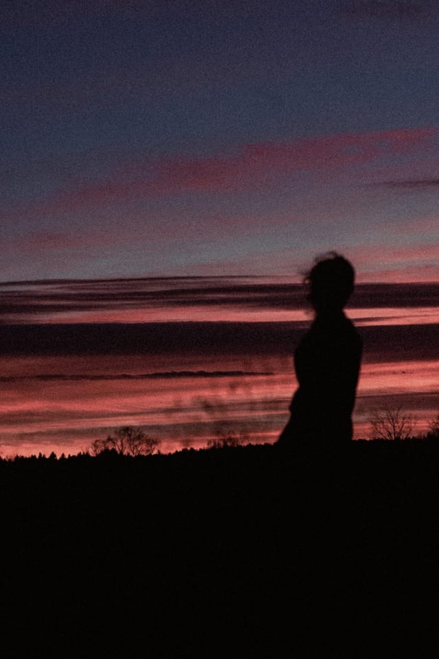 A portrait held against the day's last colour and gathering darkness, catalog number 18, from the Twilight Portraits series