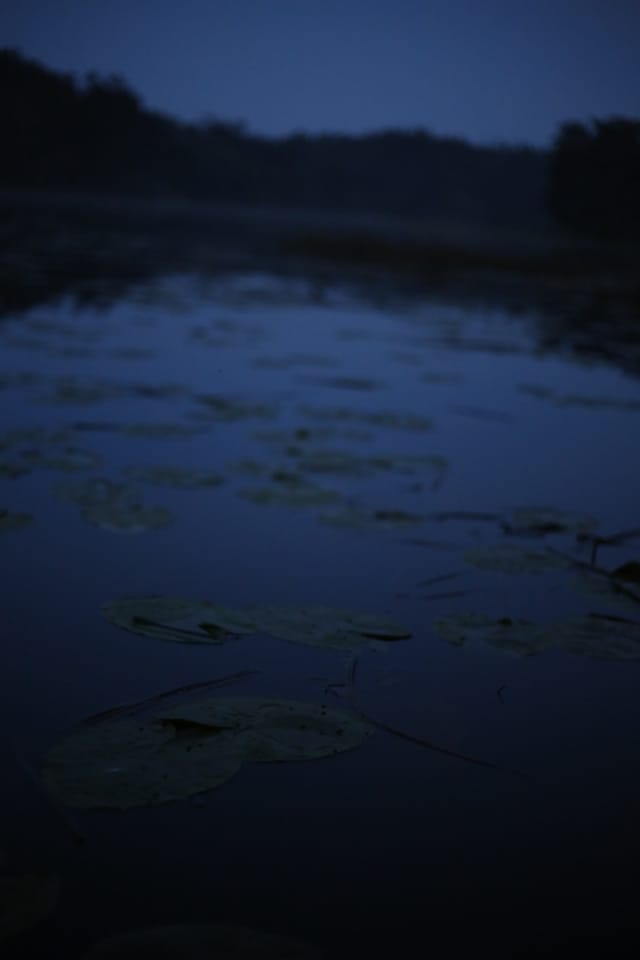 Low light across a darkened landscape and sky, catalog number 25, from The Quiet Dark collection