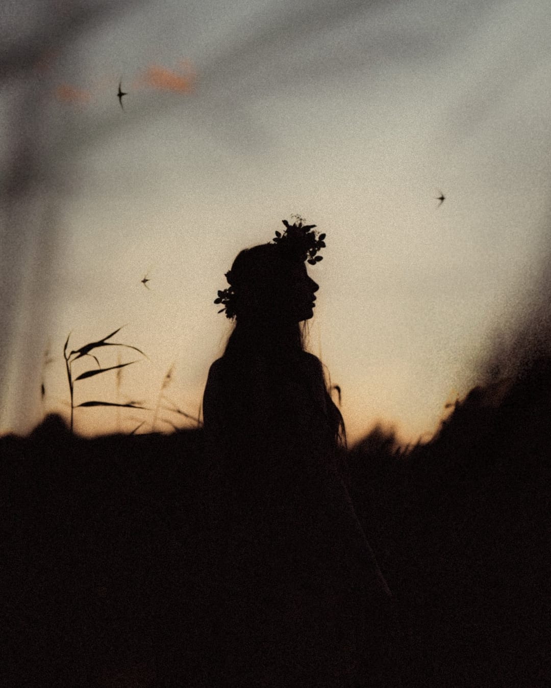 A portrait held against the day's last colour and gathering darkness, catalog number 17, from the Twilight Portraits series