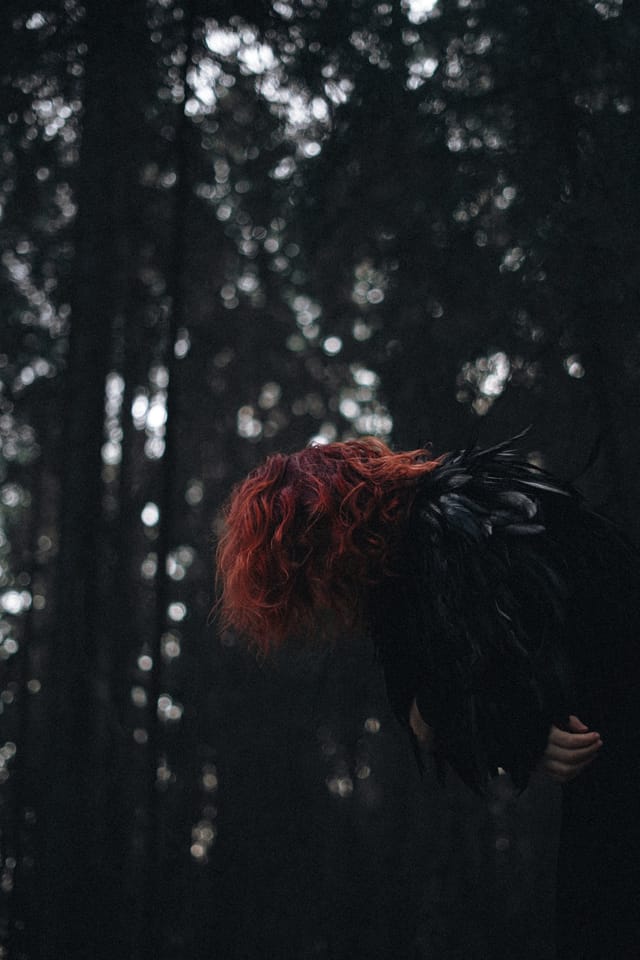 A portrait held against the day's last colour and gathering darkness, catalog number 56, from the Twilight Portraits series