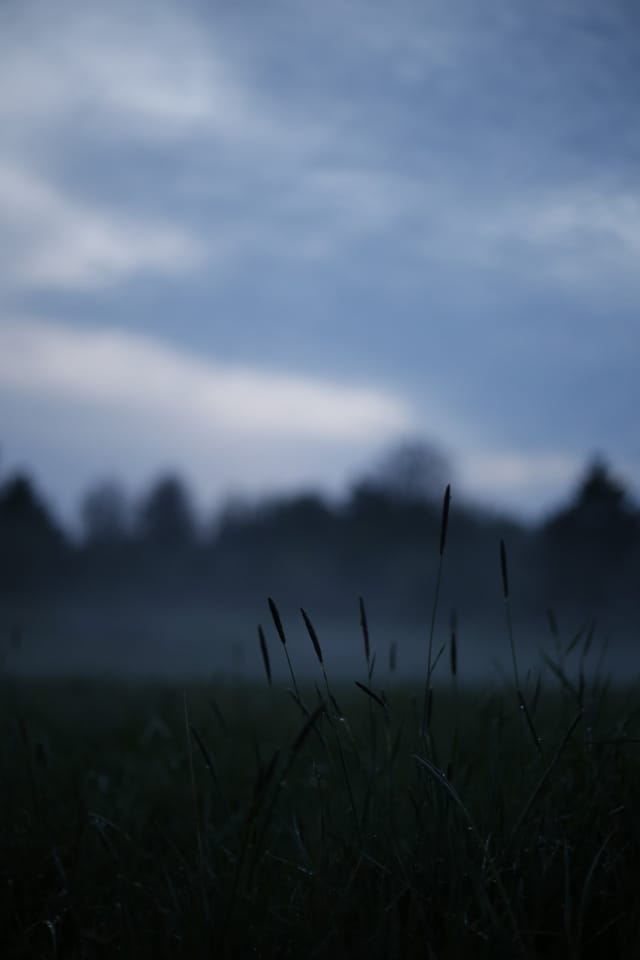 Low light across a darkened landscape and sky, catalog number 7, from The Quiet Dark collection