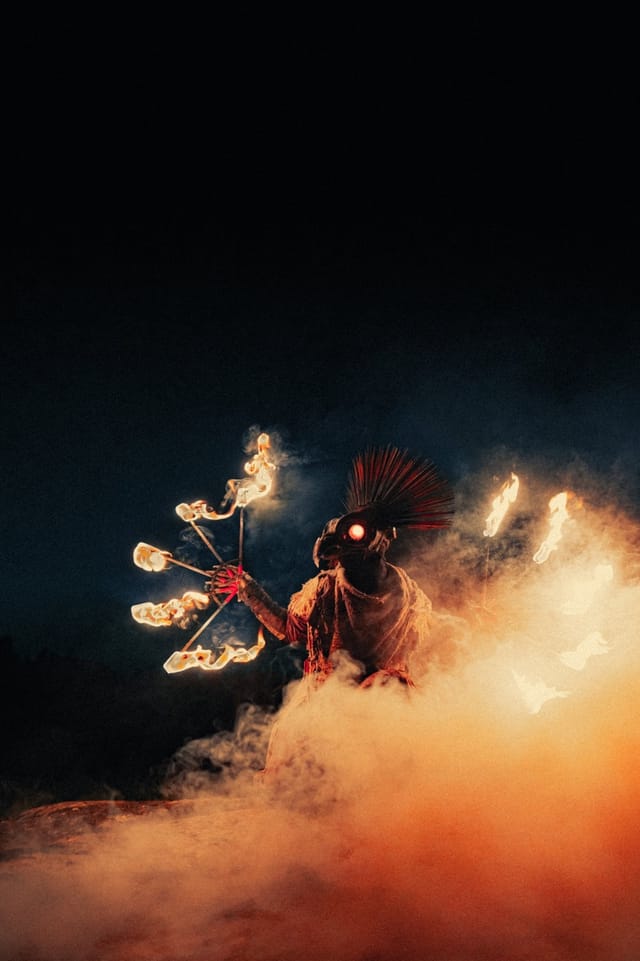 Selected work from the Fire Bird series, catalog number 1