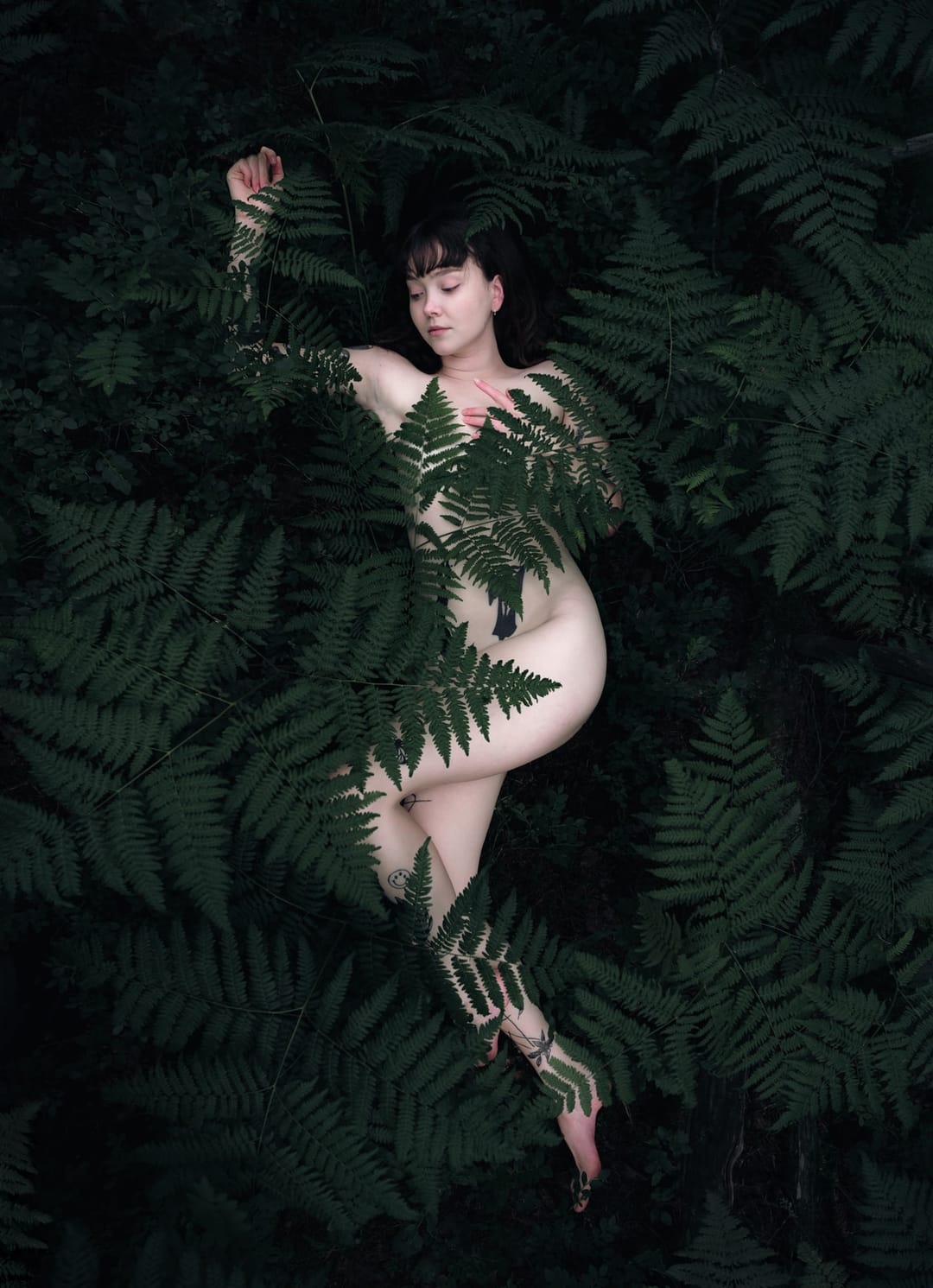 A resting body held among ferns and the forest floor, catalog number 14, from the Fernbed Body series