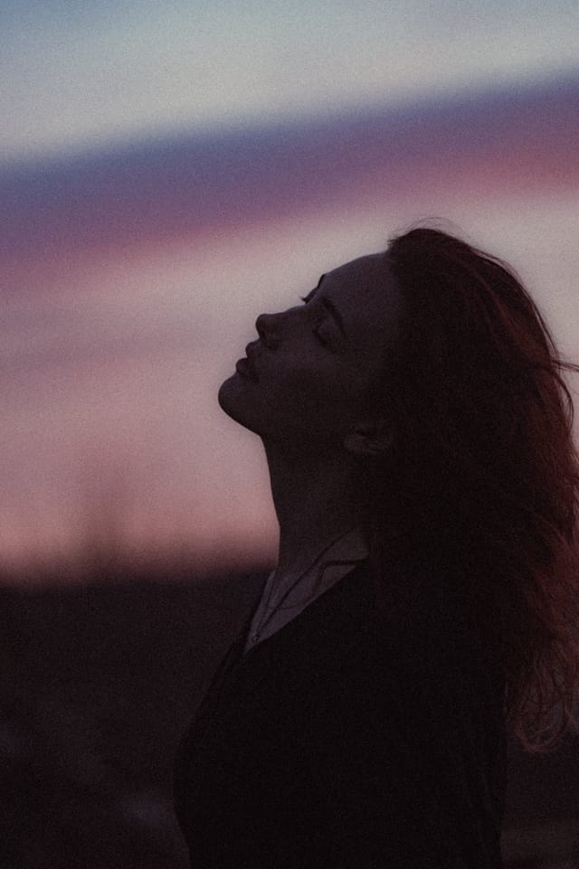 A portrait held against the day's last colour and gathering darkness, catalog number 10, from the Twilight Portraits series