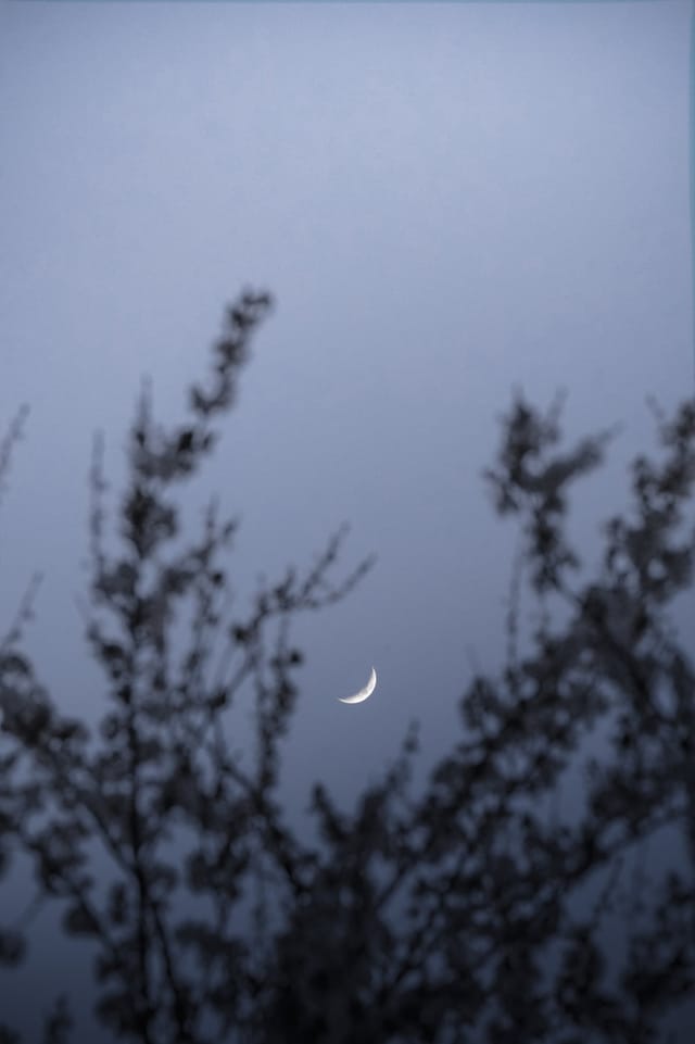 Low light across a darkened landscape and sky, catalog number 49, from The Quiet Dark collection