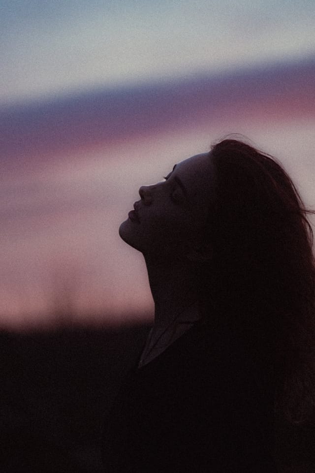 A portrait held against the day's last colour and gathering darkness, catalog number 8, from the Twilight Portraits series