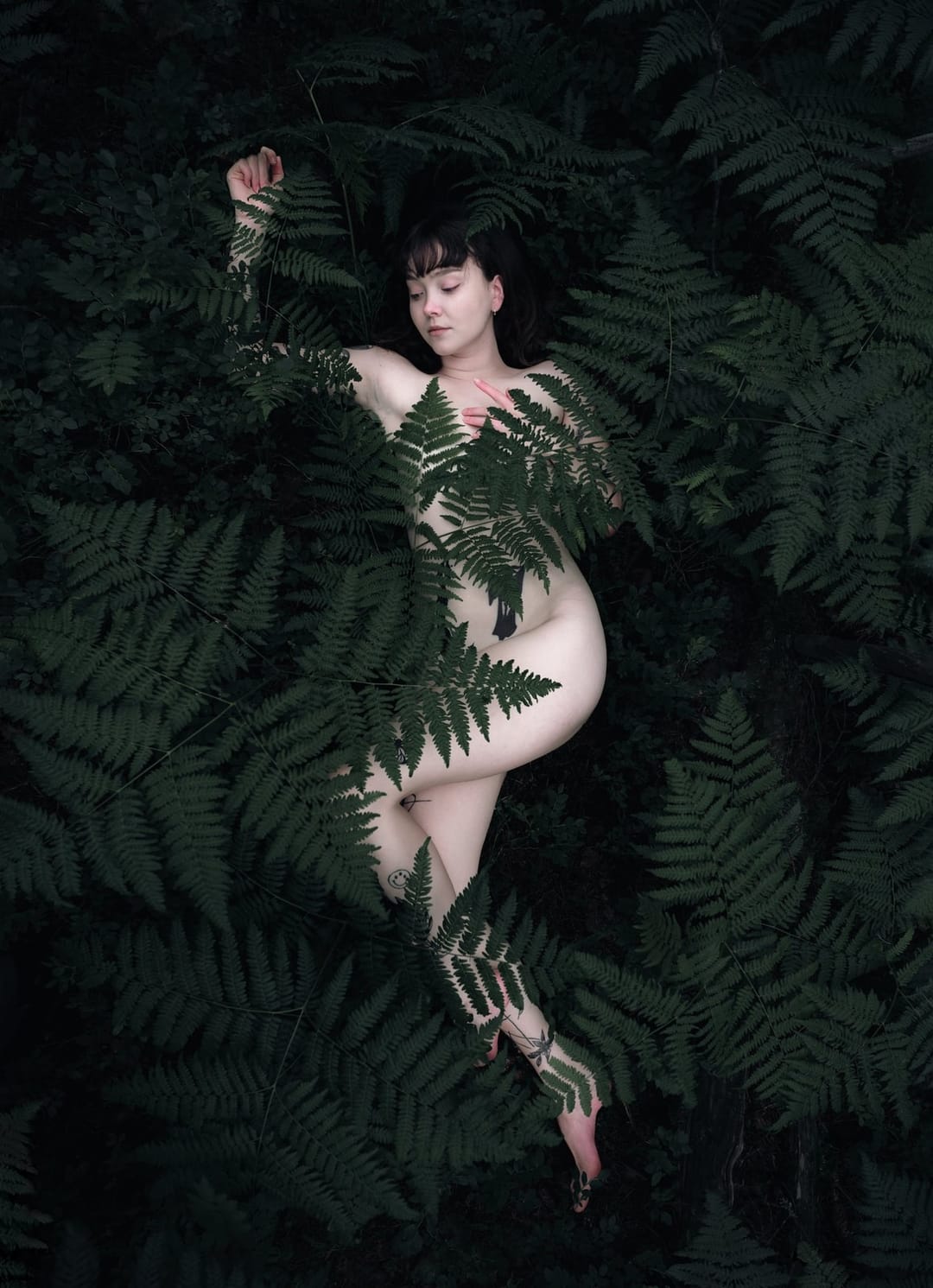 A resting body held among ferns and the forest floor, catalog number 10, from the Fernbed Body series