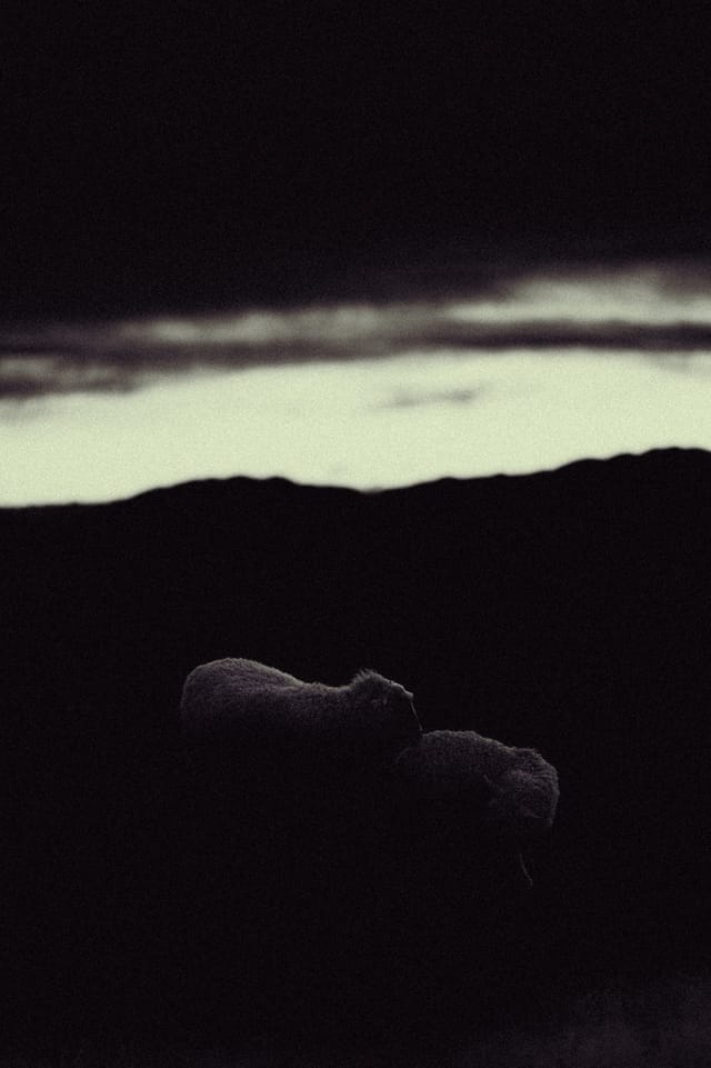 Low light across a darkened landscape and sky, catalog number 15, from The Quiet Dark collection