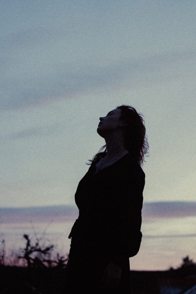 A portrait held against the day's last colour and gathering darkness, catalog number 30, from the Twilight Portraits series
