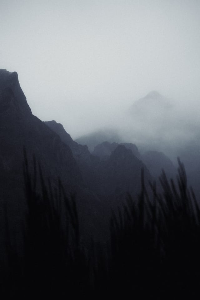 Trees emerging and receding through layers of mist, catalog number 21, from the Fog-Shrouded Trees series