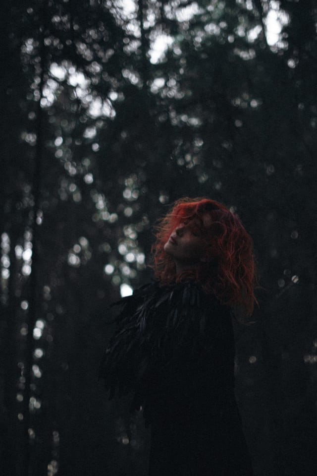 A portrait held against the day's last colour and gathering darkness, catalog number 22, from the Twilight Portraits series