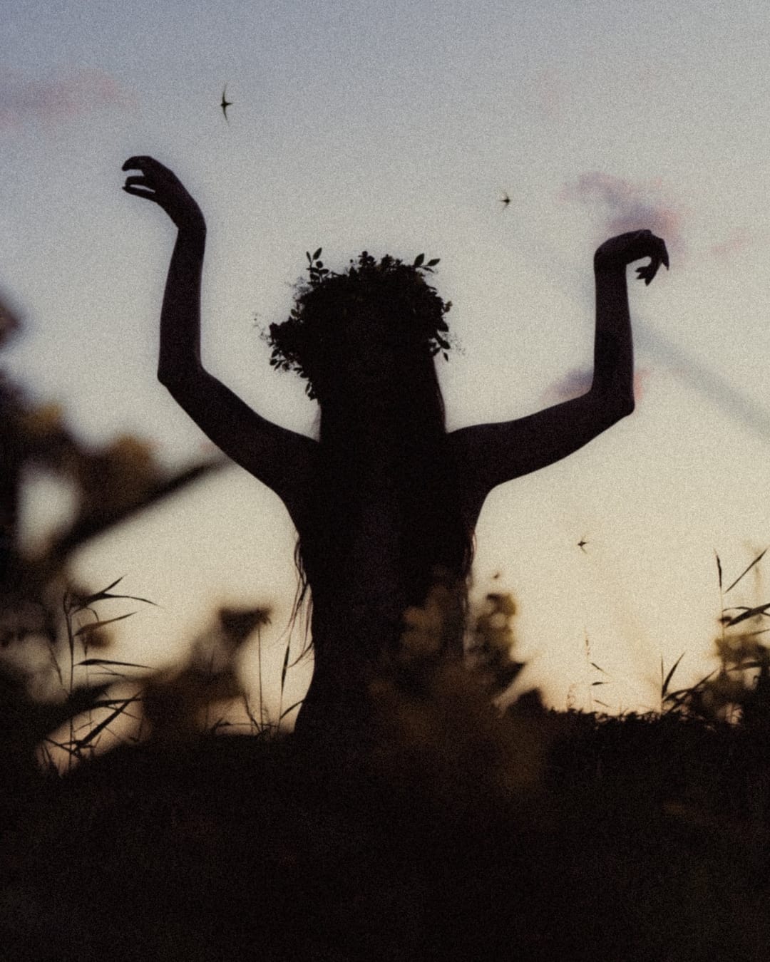 A portrait held against the day's last colour and gathering darkness, catalog number 27, from the Twilight Portraits series
