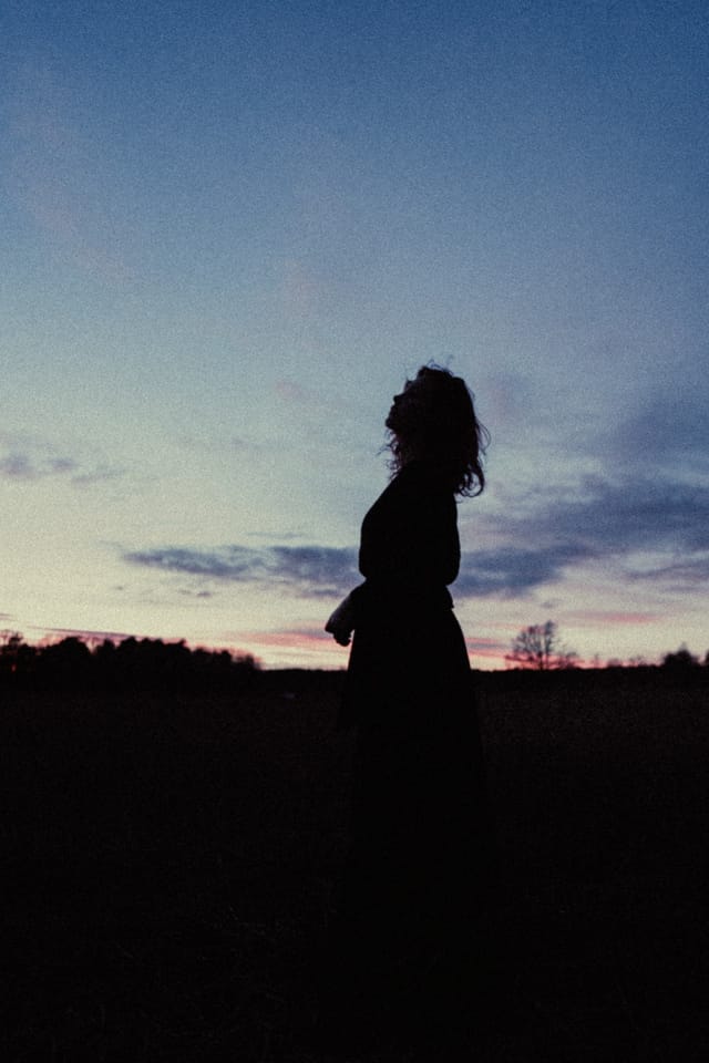 A portrait held against the day's last colour and gathering darkness, catalog number 9, from the Twilight Portraits series