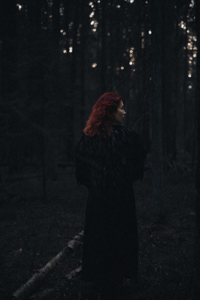 A portrait held against the day's last colour and gathering darkness, catalog number 48, from the Twilight Portraits series