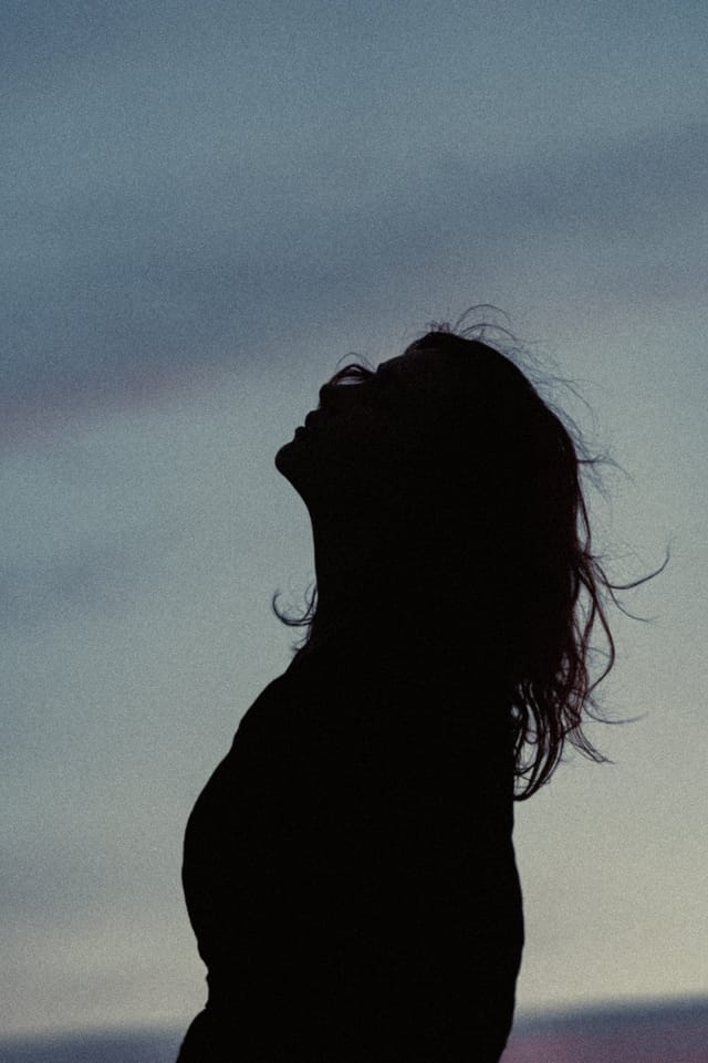 A portrait held against the day's last colour and gathering darkness, catalog number 6, from the Twilight Portraits series