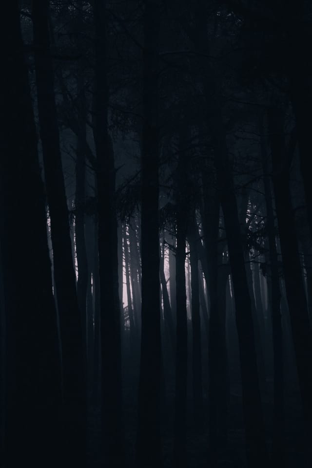 Low light across a darkened landscape and sky, catalog number 1, from The Quiet Dark collection