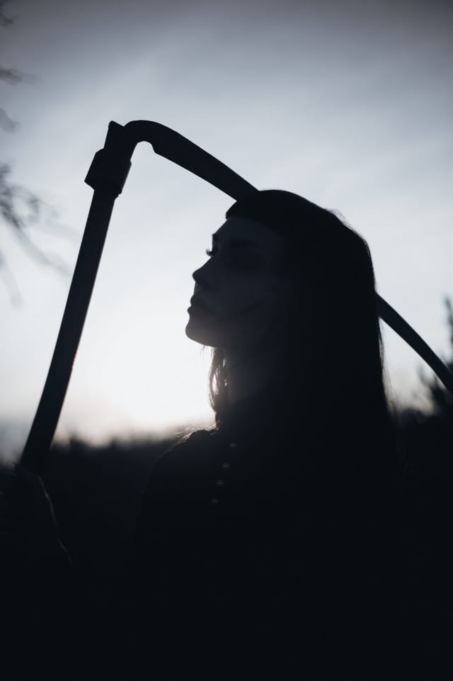 A portrait held against the day's last colour and gathering darkness, catalog number 33, from the Twilight Portraits series