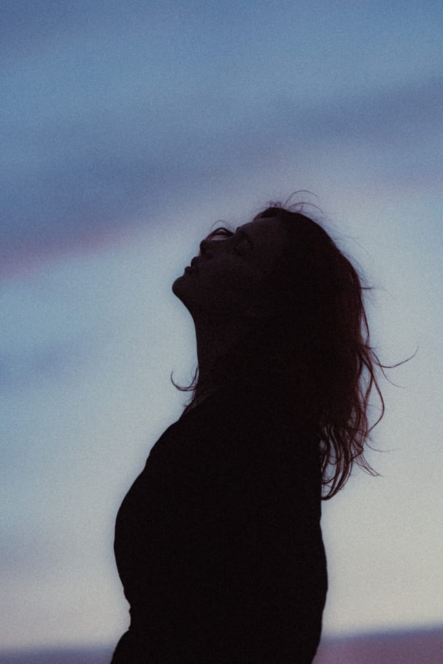 A portrait held against the day's last colour and gathering darkness, catalog number 28, from the Twilight Portraits series