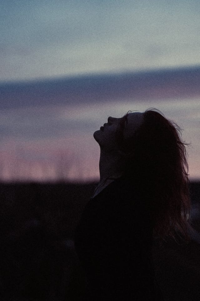 A portrait held against the day's last colour and gathering darkness, catalog number 23, from the Twilight Portraits series