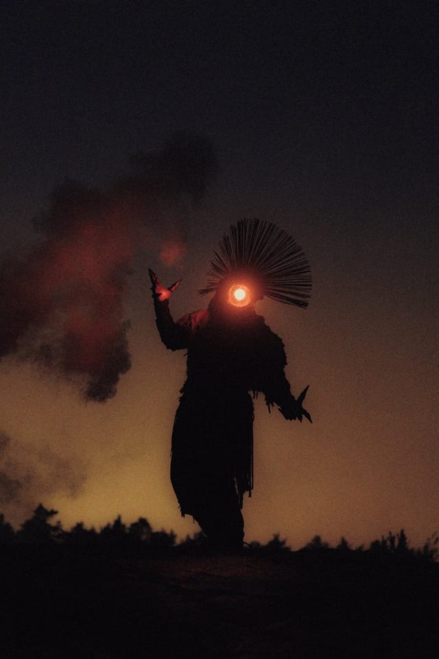 Selected work from the Fire Bird series, catalog number 6