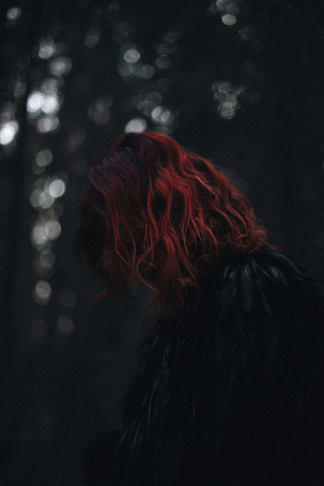 A portrait held against the day's last colour and gathering darkness, catalog number 41, from the Twilight Portraits series
