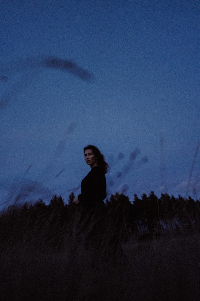 A portrait held against the day's last colour and gathering darkness, catalog number 65, from the Twilight Portraits series