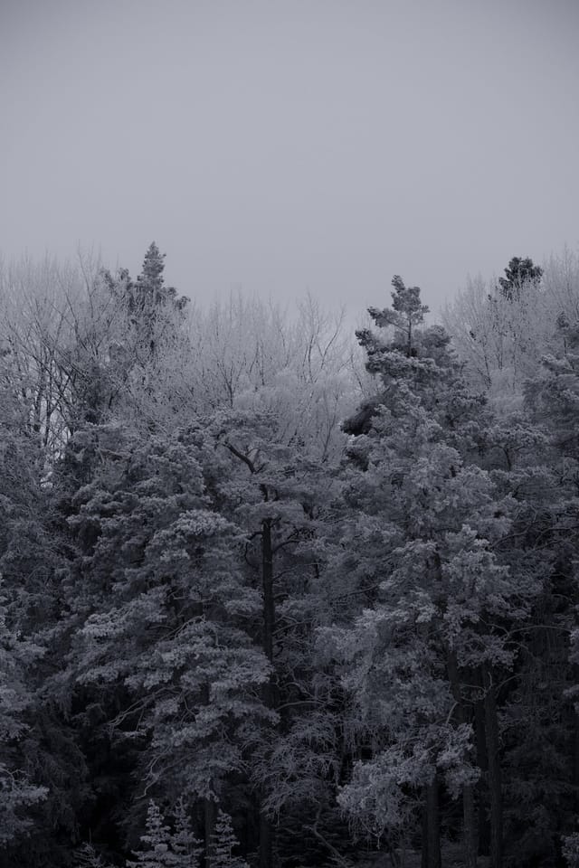 Low light across a darkened landscape and sky, catalog number 4, from The Quiet Dark collection