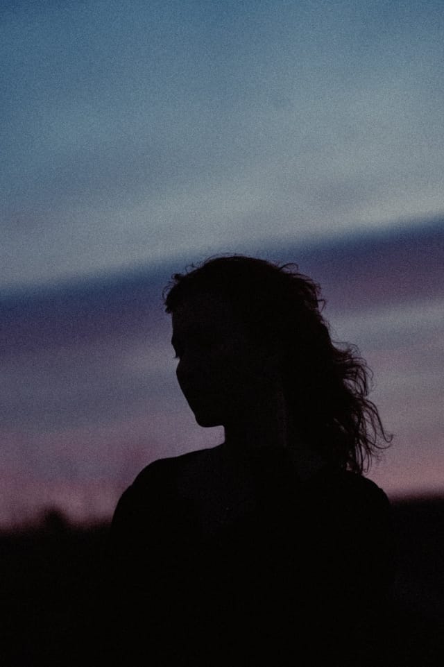 A portrait held against the day's last colour and gathering darkness, catalog number 2, from the Twilight Portraits series