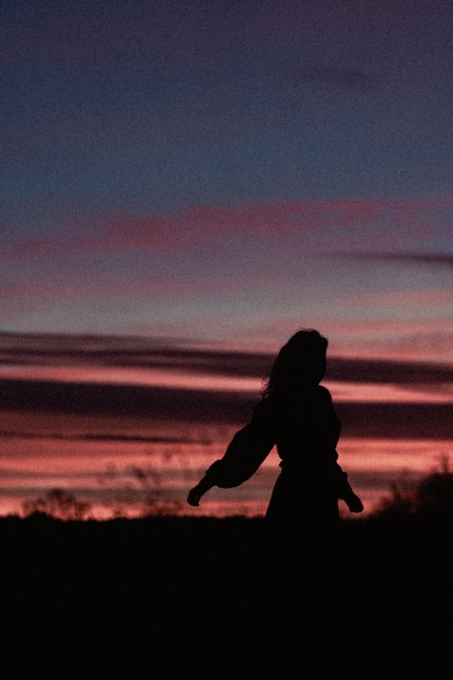 A portrait held against the day's last colour and gathering darkness, catalog number 20, from the Twilight Portraits series