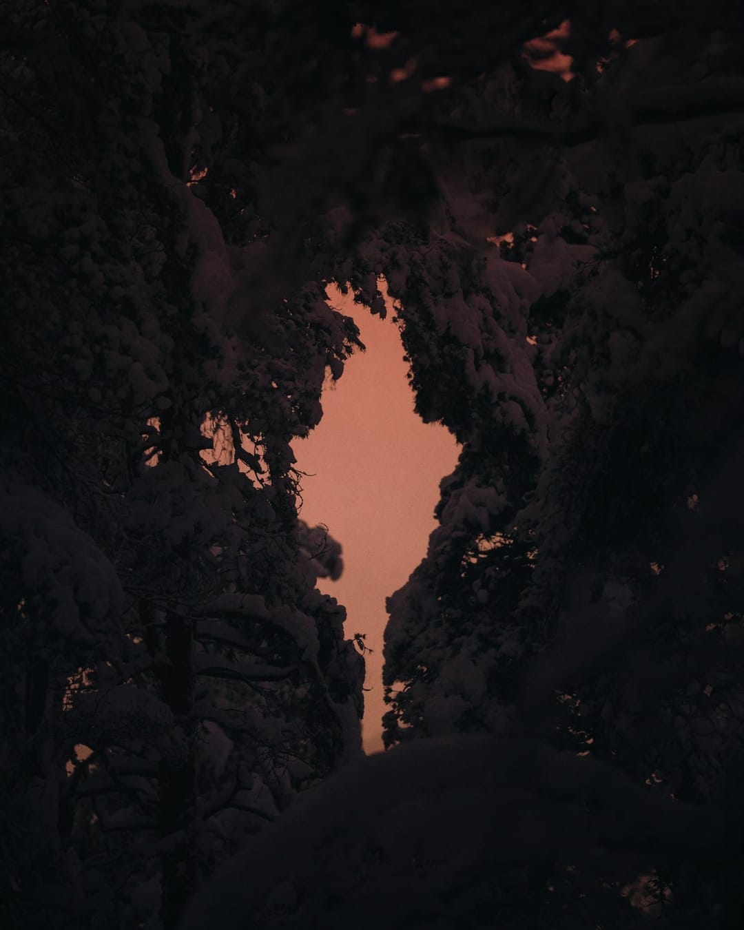Low light across a darkened landscape and sky, catalog number 29, from The Quiet Dark collection