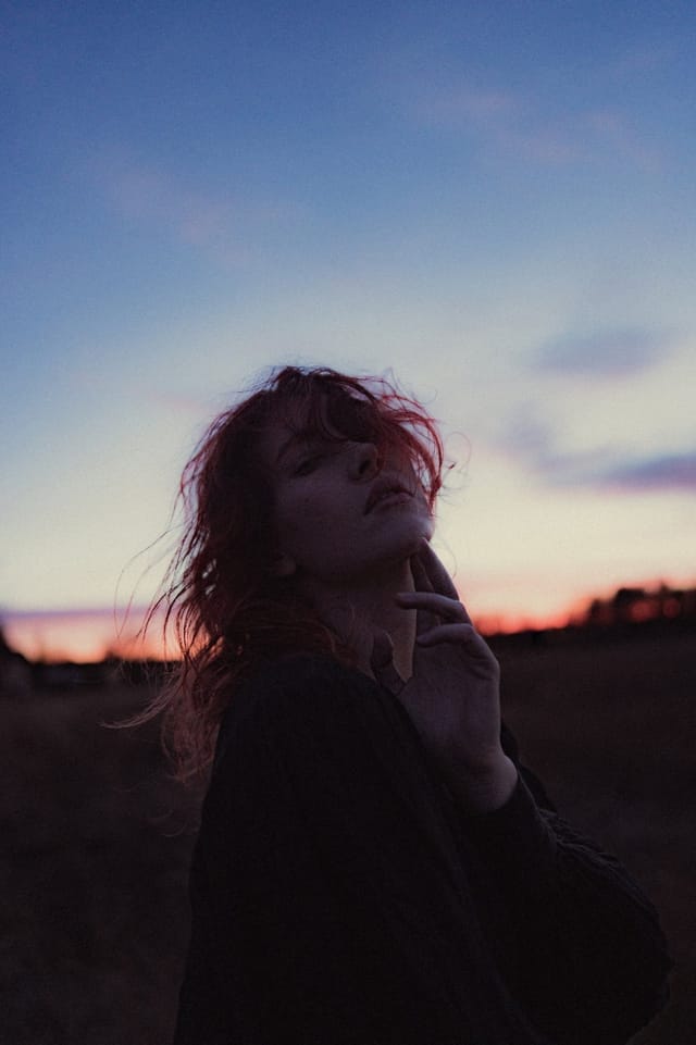 A portrait held against the day's last colour and gathering darkness, catalog number 13, from the Twilight Portraits series