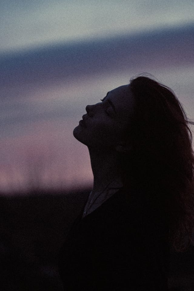 A portrait held against the day's last colour and gathering darkness, catalog number 3, from the Twilight Portraits series