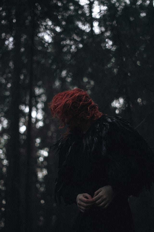 A portrait held against the day's last colour and gathering darkness, catalog number 60, from the Twilight Portraits series