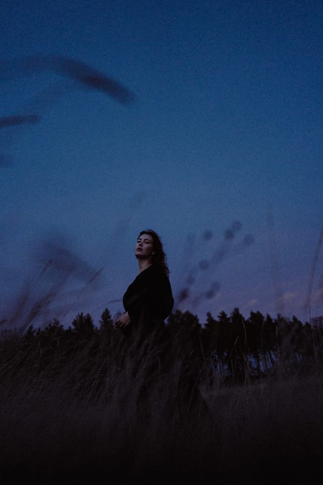 A portrait held against the day's last colour and gathering darkness, catalog number 68, from the Twilight Portraits series