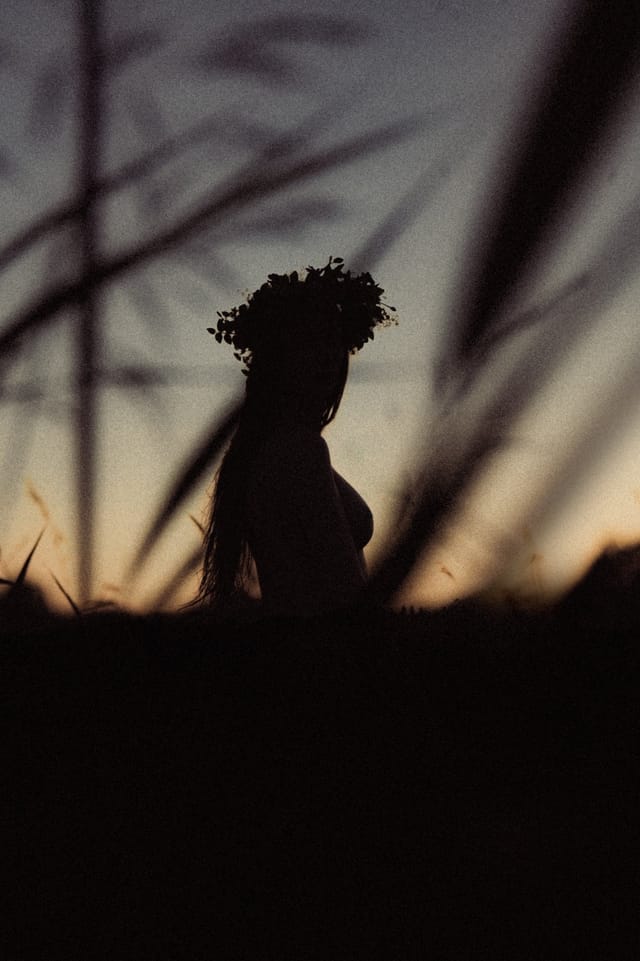 A portrait held against the day's last colour and gathering darkness, catalog number 29, from the Twilight Portraits series