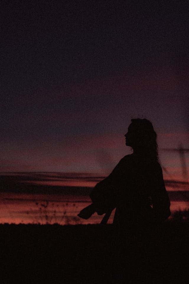 A portrait held against the day's last colour and gathering darkness, catalog number 11, from the Twilight Portraits series