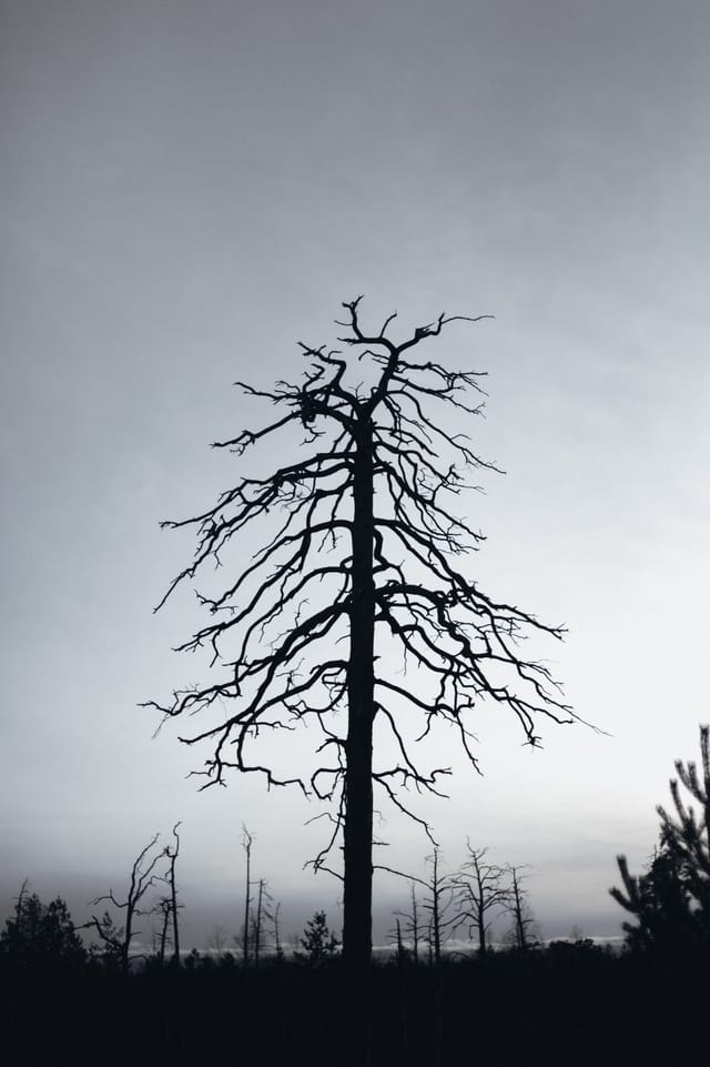Low light across a darkened landscape and sky, catalog number 23, from The Quiet Dark collection