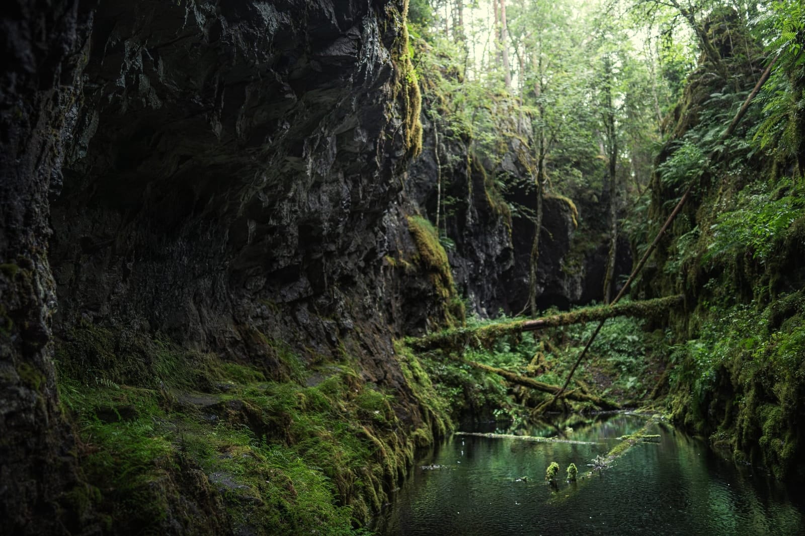 Moving water descending through rock and atmospheric light, catalog number 13, from the Falling Water collection