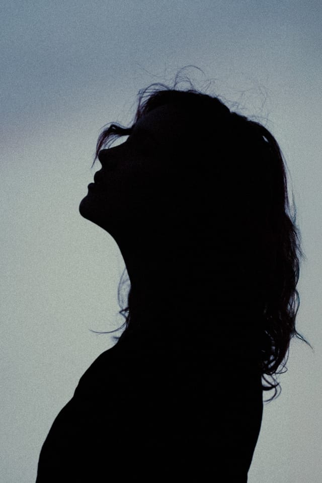 A portrait held against the day's last colour and gathering darkness, catalog number 47, from the Twilight Portraits series
