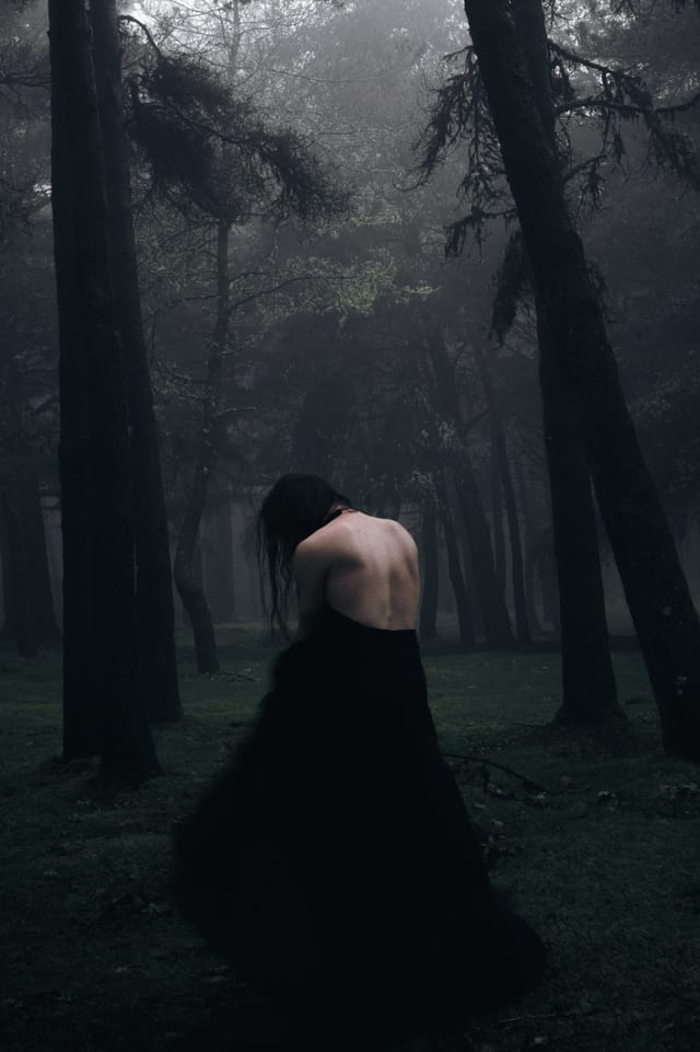 A human figure held in landscape, water or shadow, catalog number 11, from the Silent Figures collection
