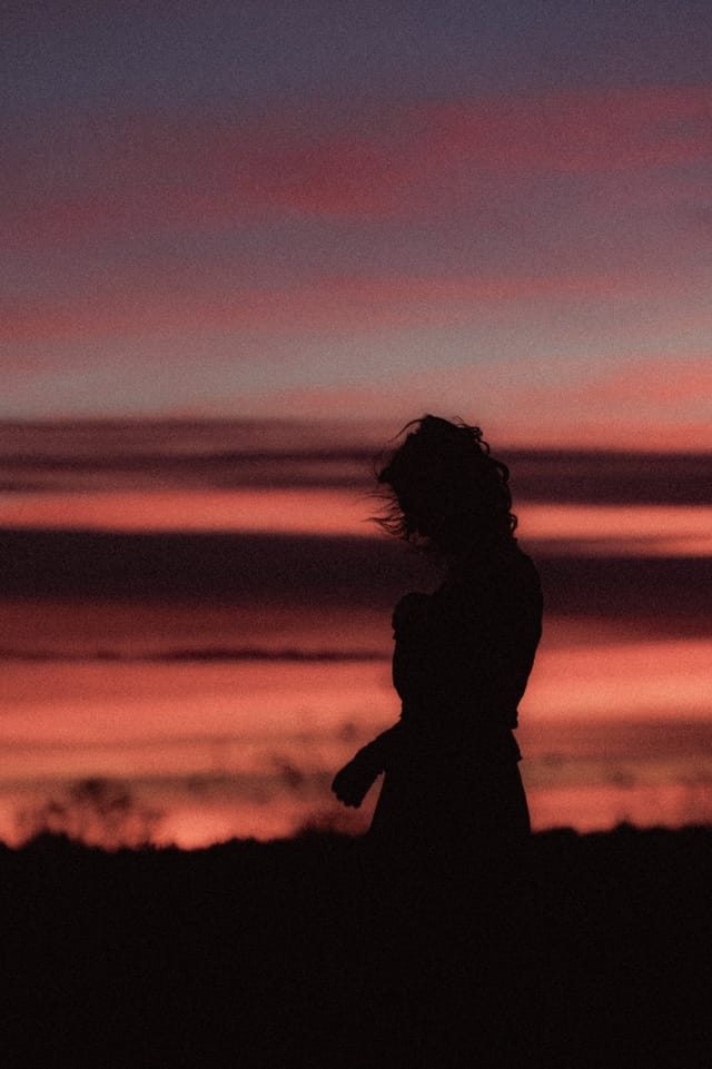 A portrait held against the day's last colour and gathering darkness, catalog number 15, from the Twilight Portraits series