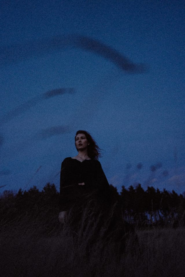 A portrait held against the day's last colour and gathering darkness, catalog number 40, from the Twilight Portraits series