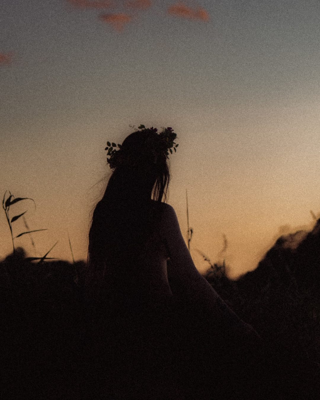 A portrait held against the day's last colour and gathering darkness, catalog number 26, from the Twilight Portraits series